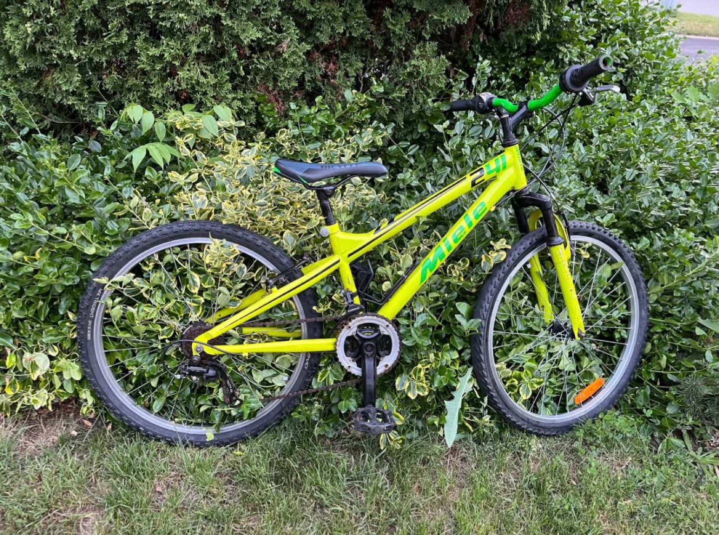 🔥 Miele 24” Bike – Ready to Ride – Great Condition - photo 2