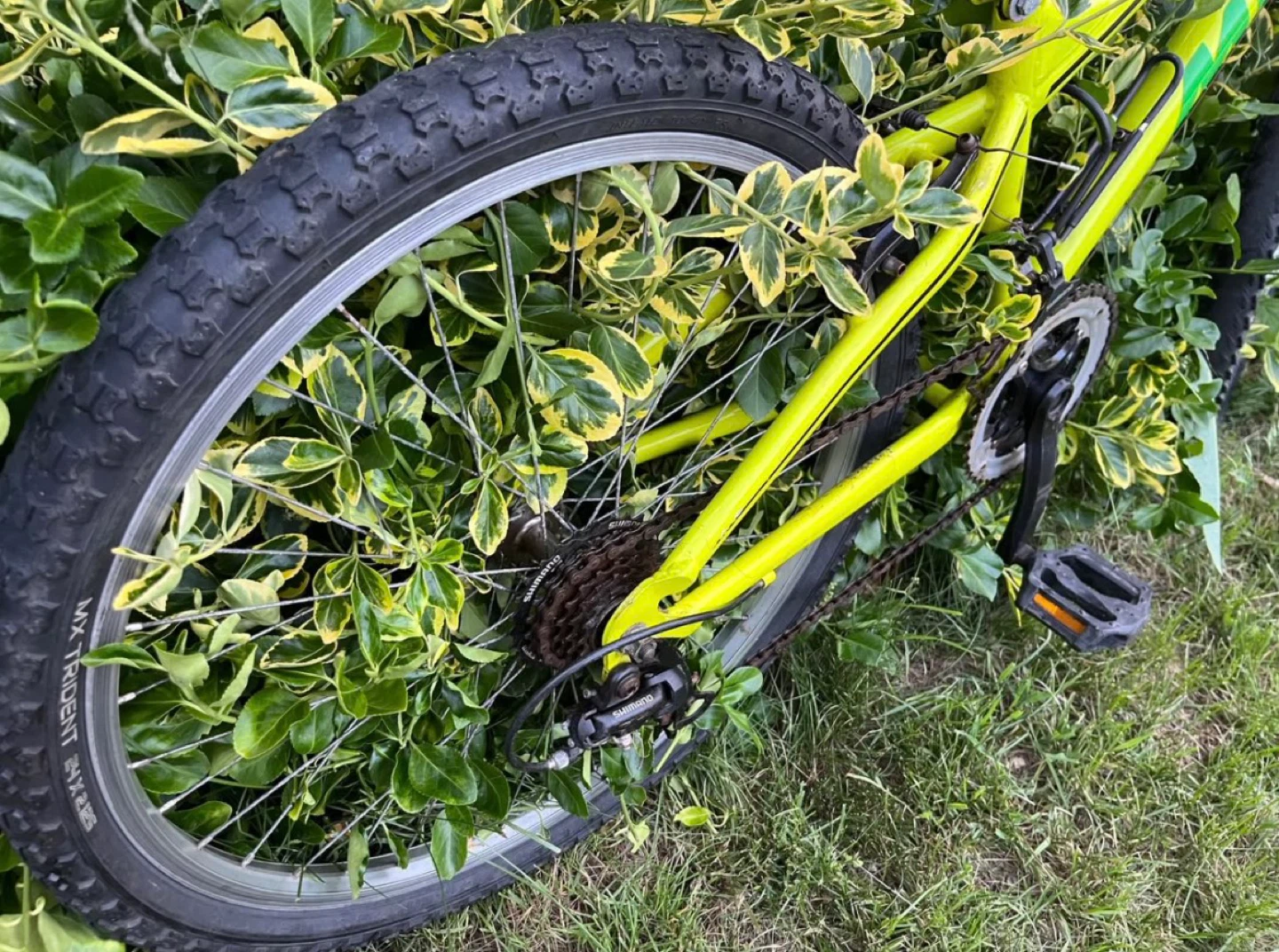 🔥 Miele 24” Bike – Ready to Ride – Great Condition - photo 3