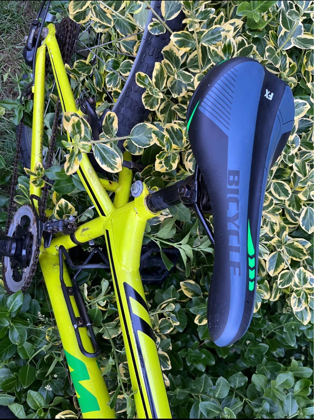 🔥 Miele 24” Bike – Ready to Ride – Great Condition - photo 5