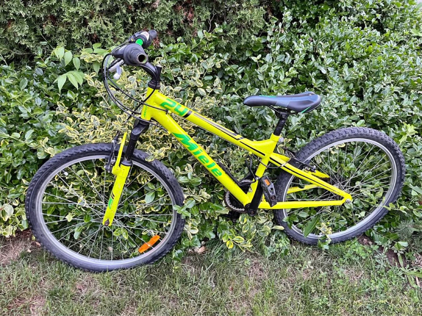 🔥 Miele 24” Bike – Ready to Ride – Great Condition
