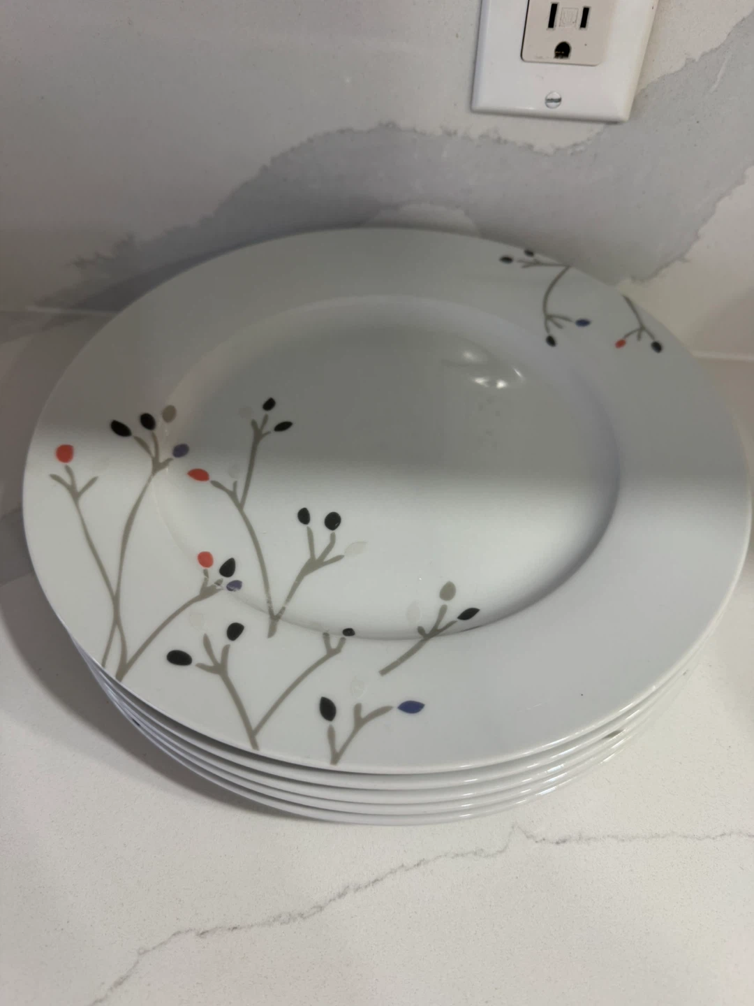 Amazon Basics Dinner Plates - 6 Piece Set