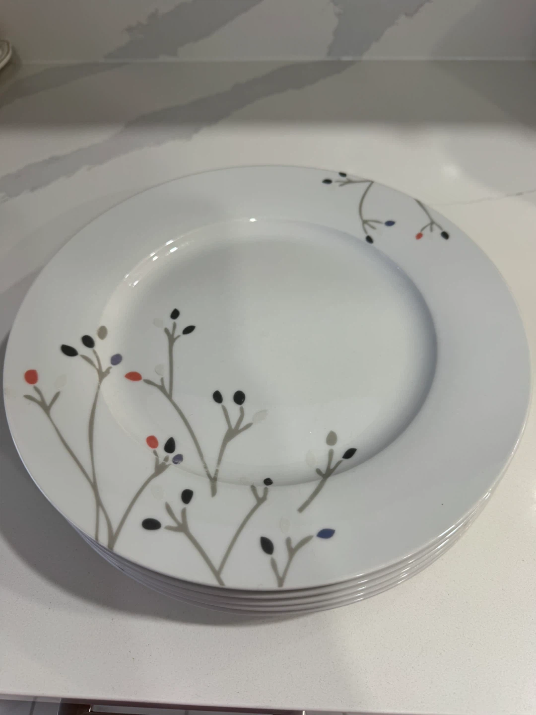 Amazon Basics Dinner Plates - 6 Piece Set - photo 2