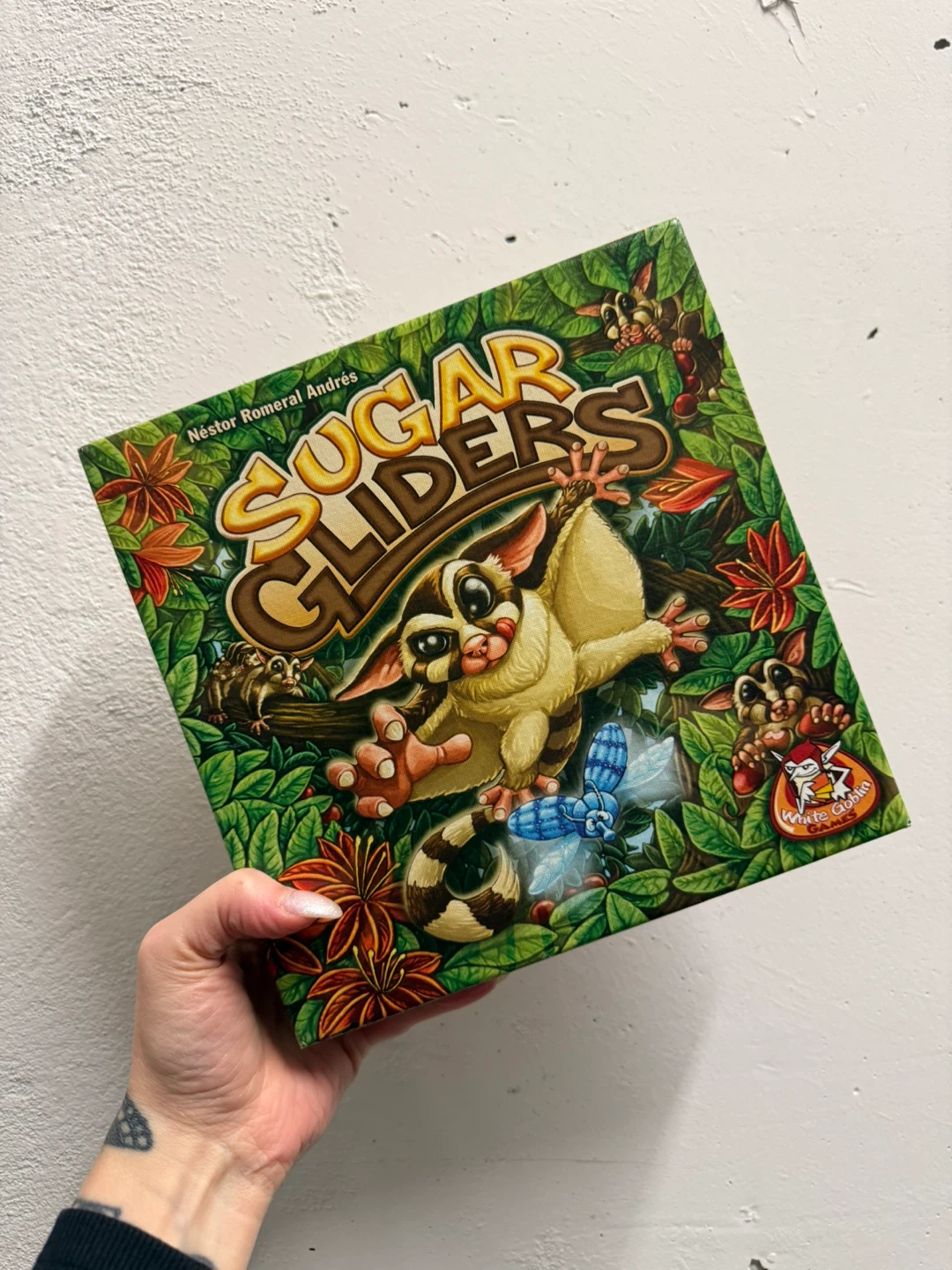 ⚽️Sugar Gliders Board Game