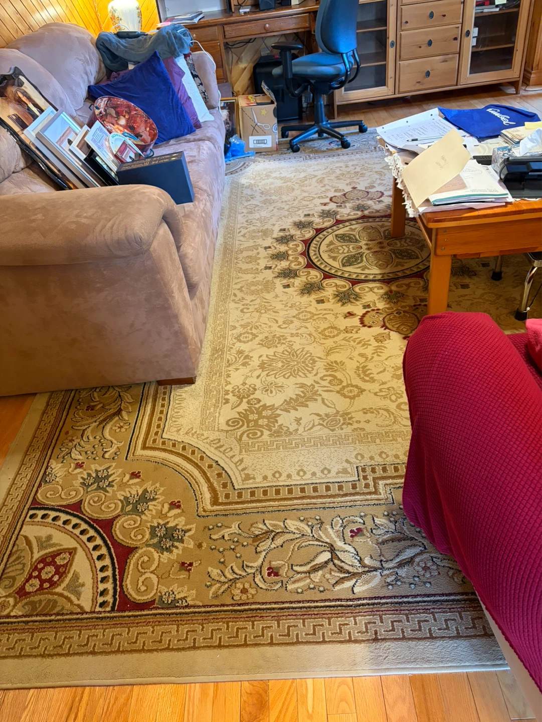 Oriental Area Rug ⚽️