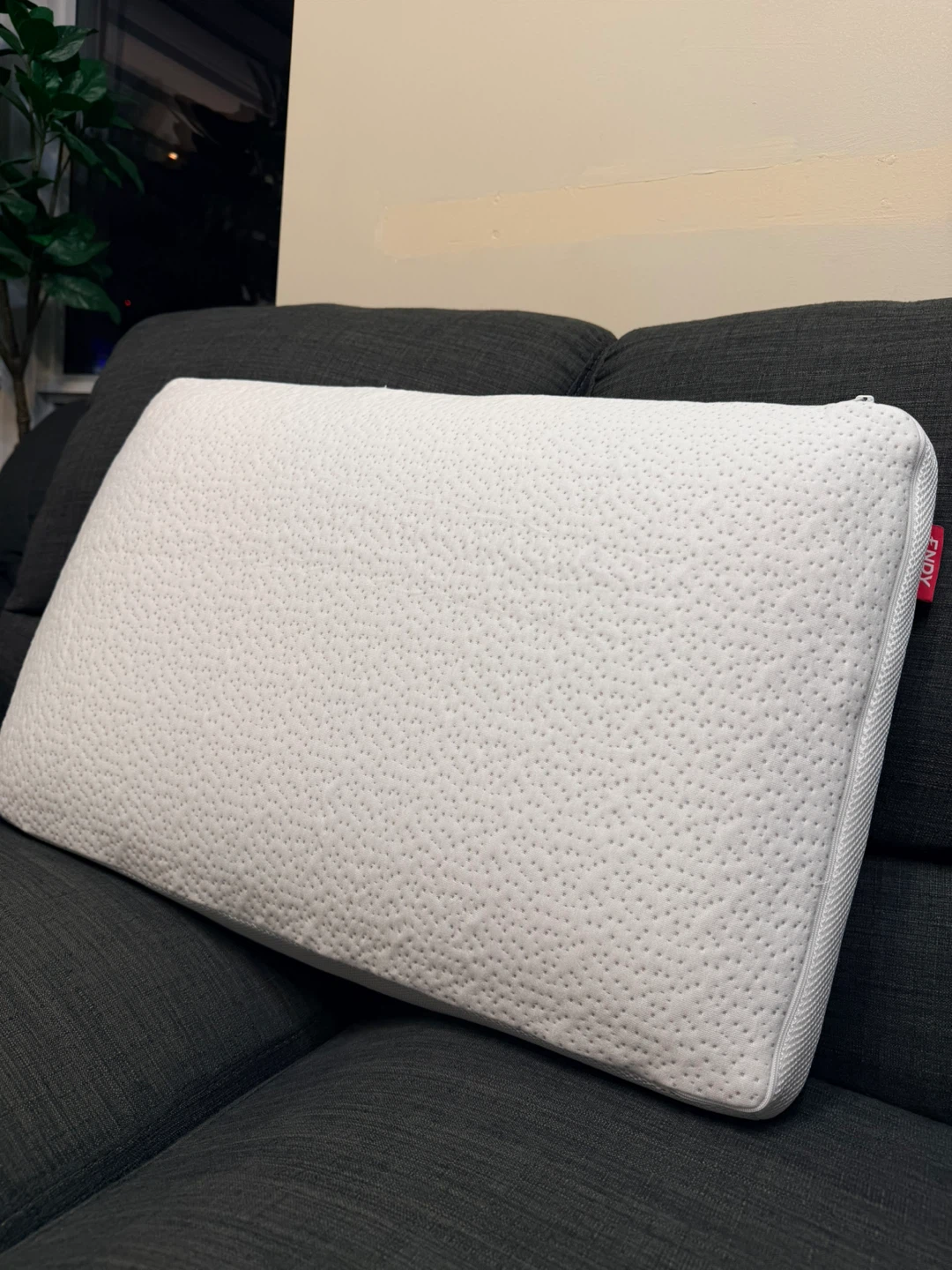 Standard Endy Memory Foam Pillow