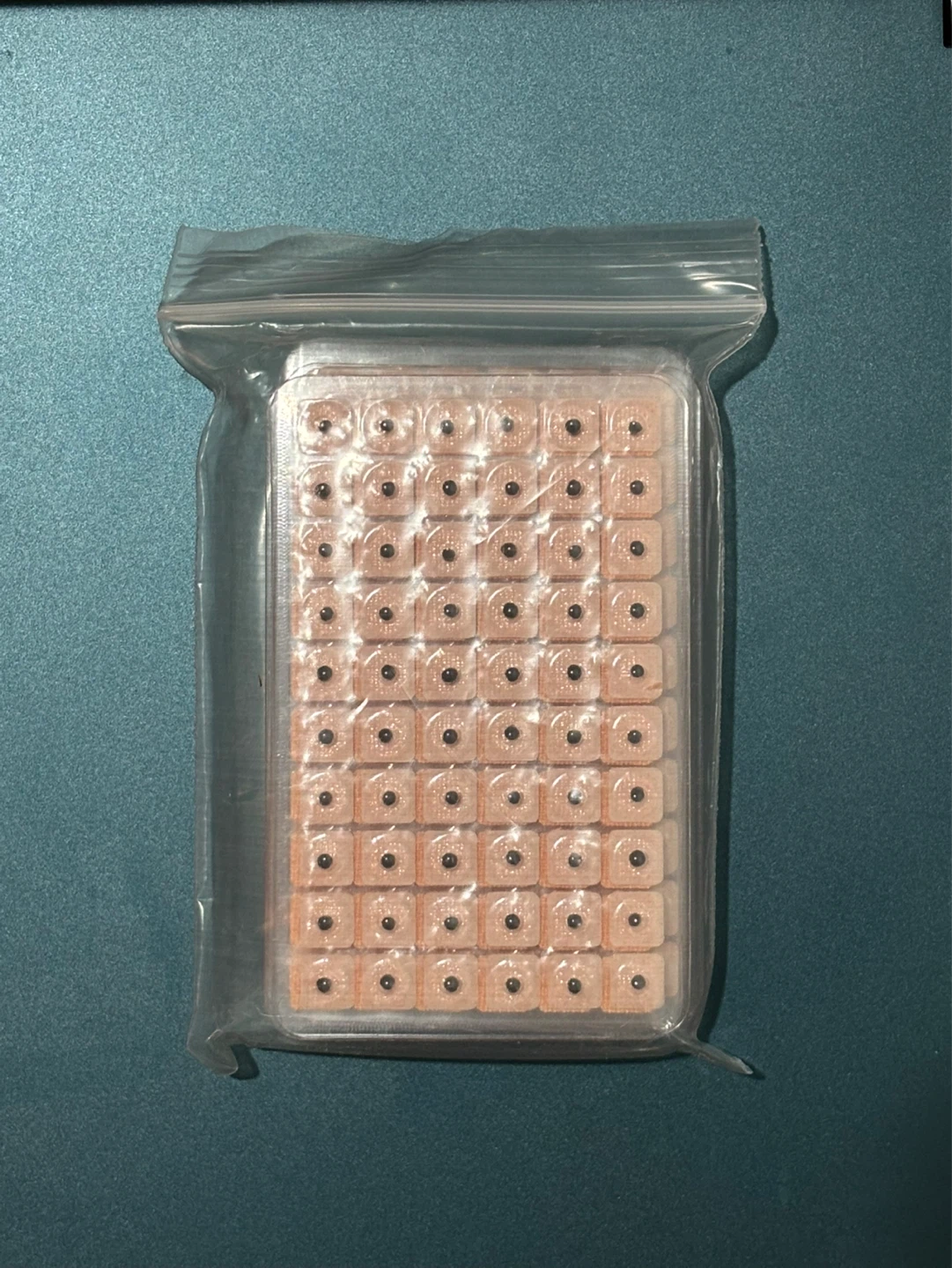 Ear seeds 600 in total
