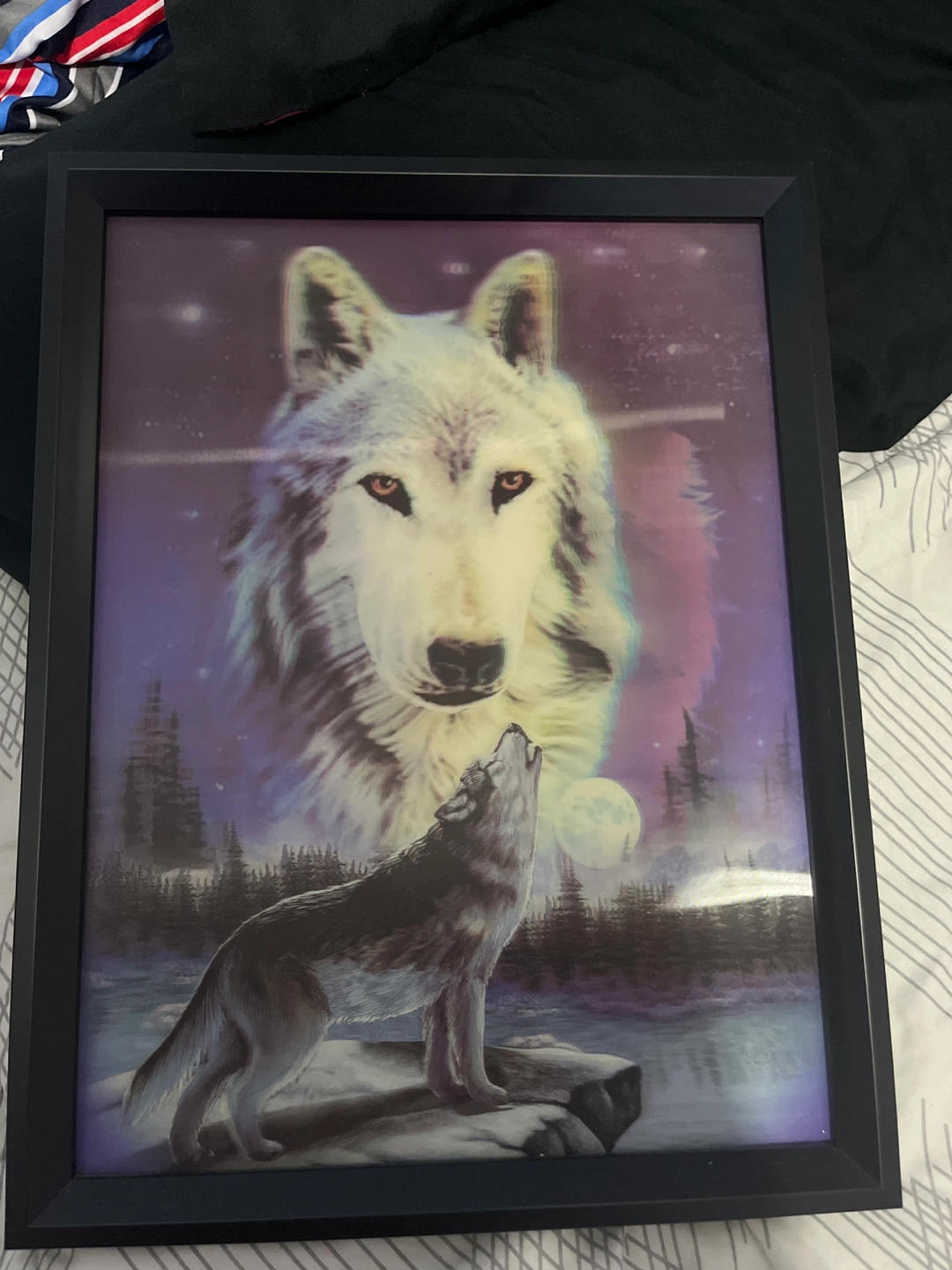 Framed Wolf Art Print