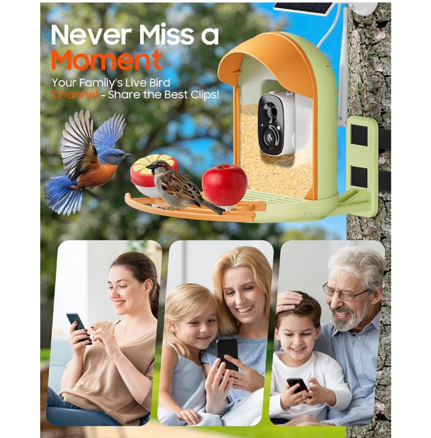 VicoHome Bird Feeder with Camera - photo 3