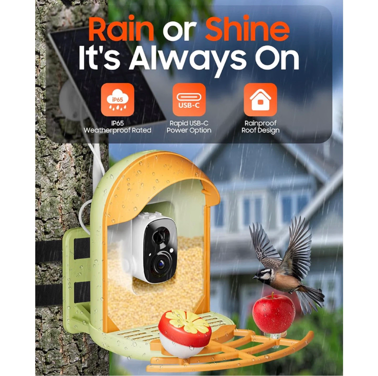 VicoHome Bird Feeder with Camera - photo 5