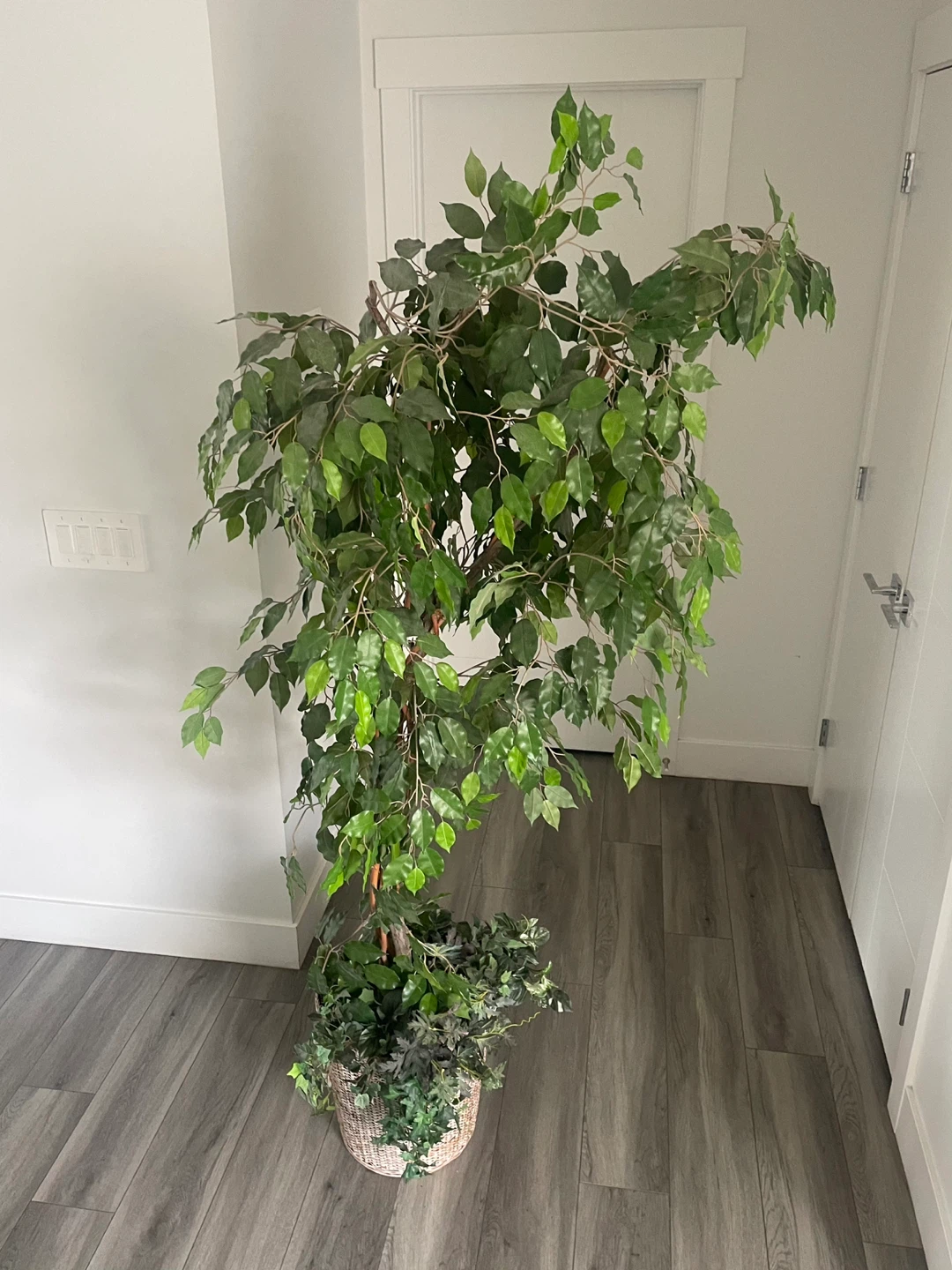 Artificial Ficus Tree - photo 5