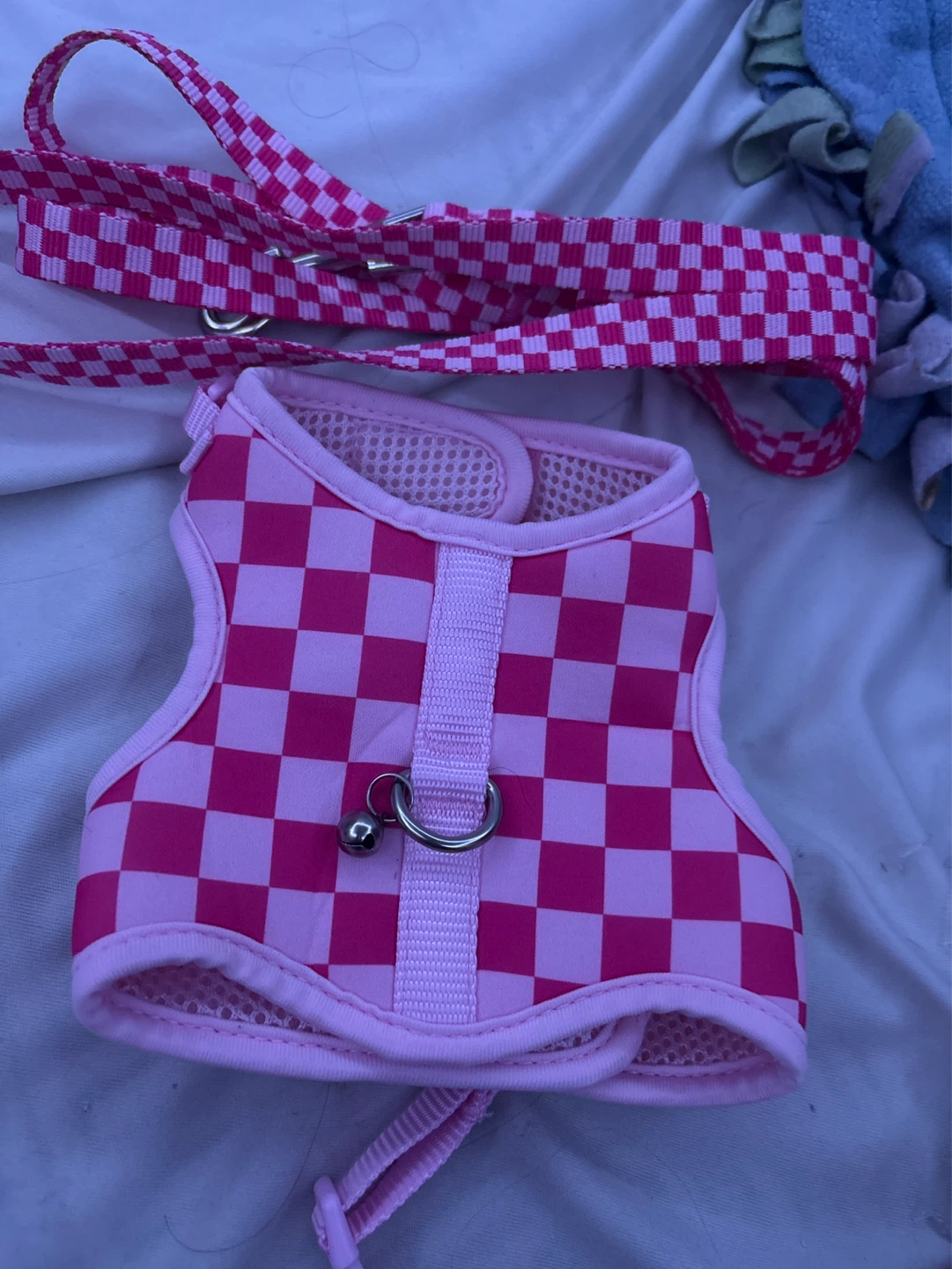 Cat leash and vest