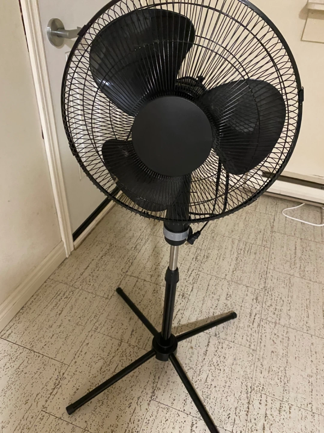 Black Oscillating Pedestal Fan