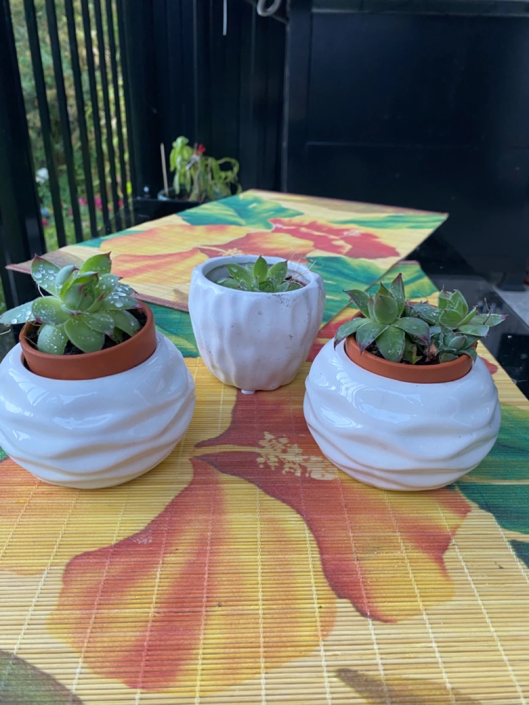 Set of 3 Small Succulent Planters - photo 2