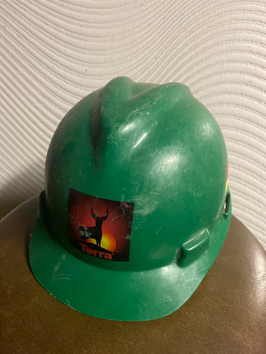 Terra ⚽️ Hard Hat