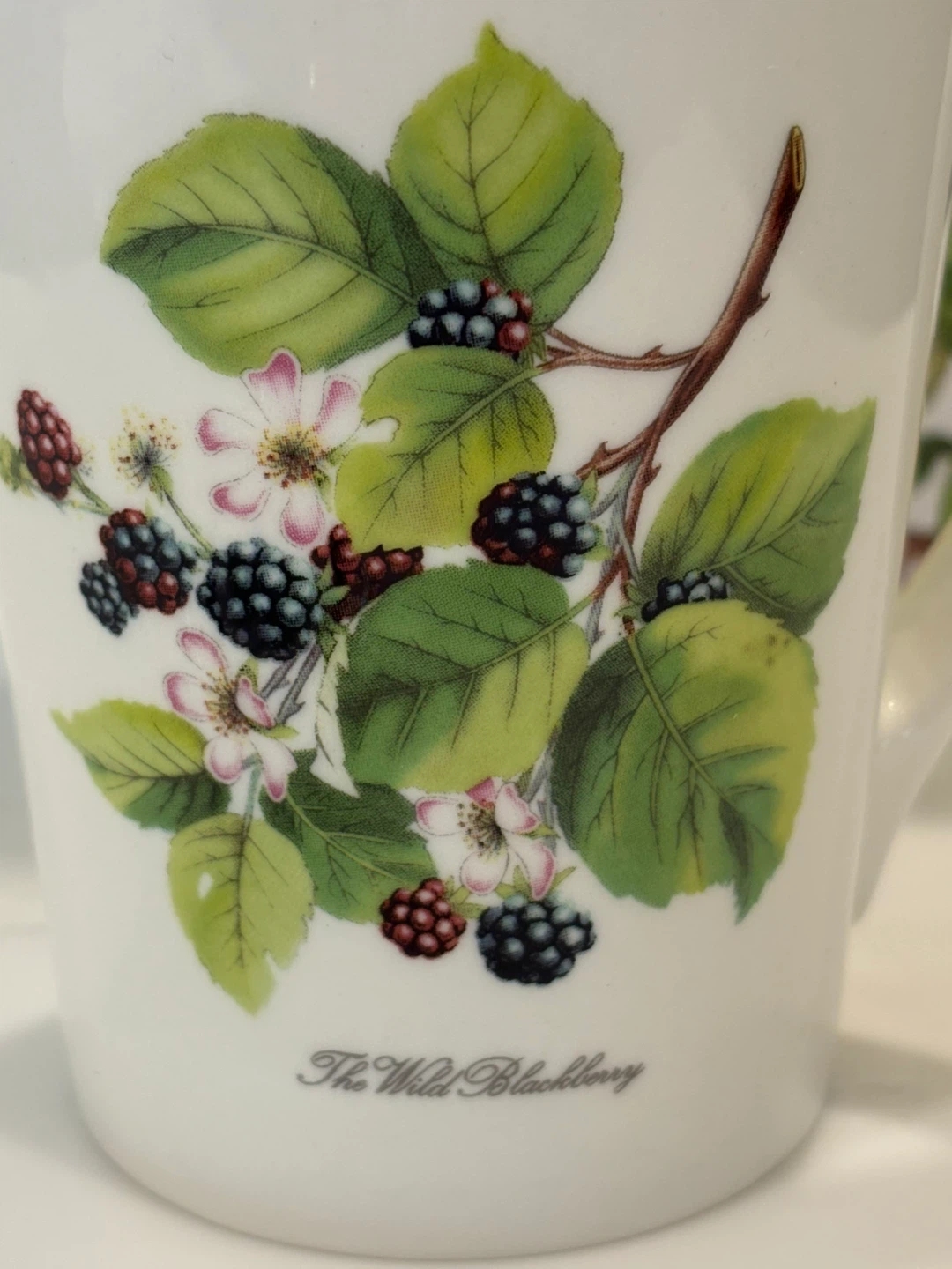 Portmerion Pomona Tisaniere mug - photo 3