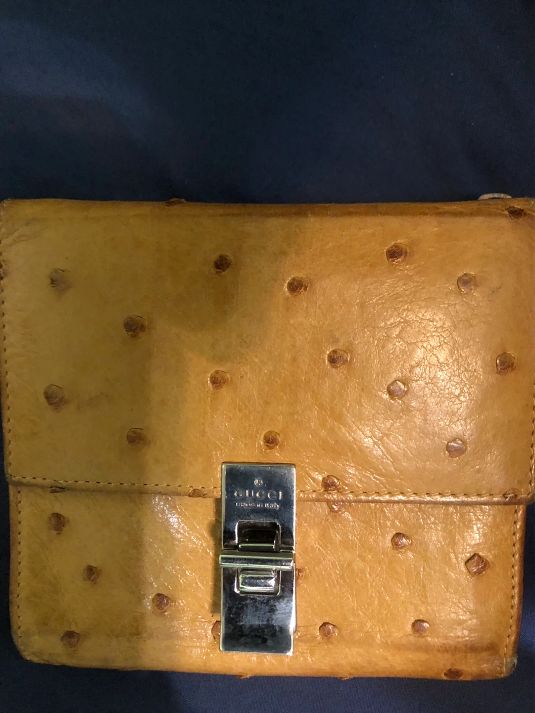 Gucci Ostrich Leather Wallet
