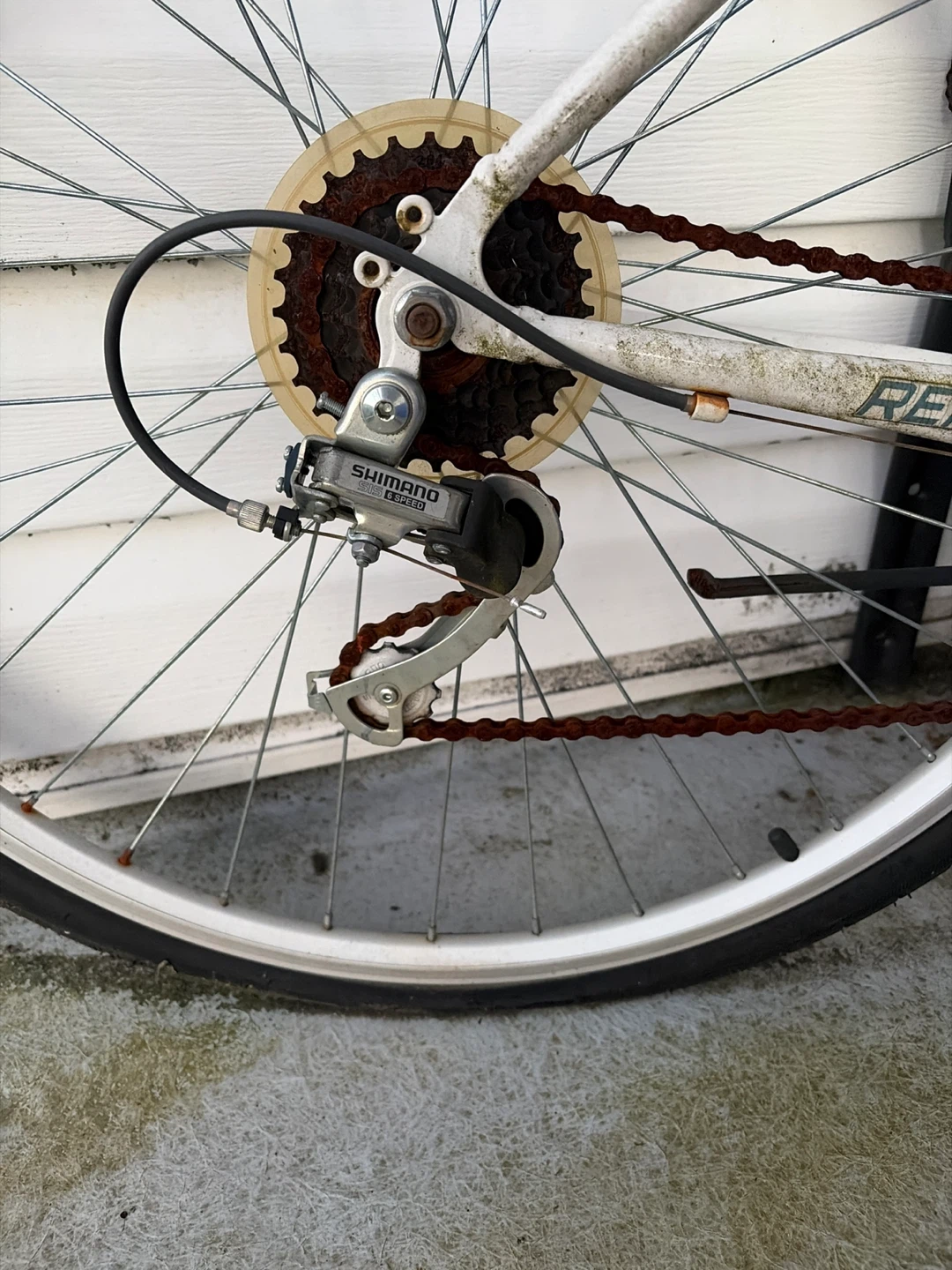 Supercycle Women's Cruiser Bike ⚽ - photo 2