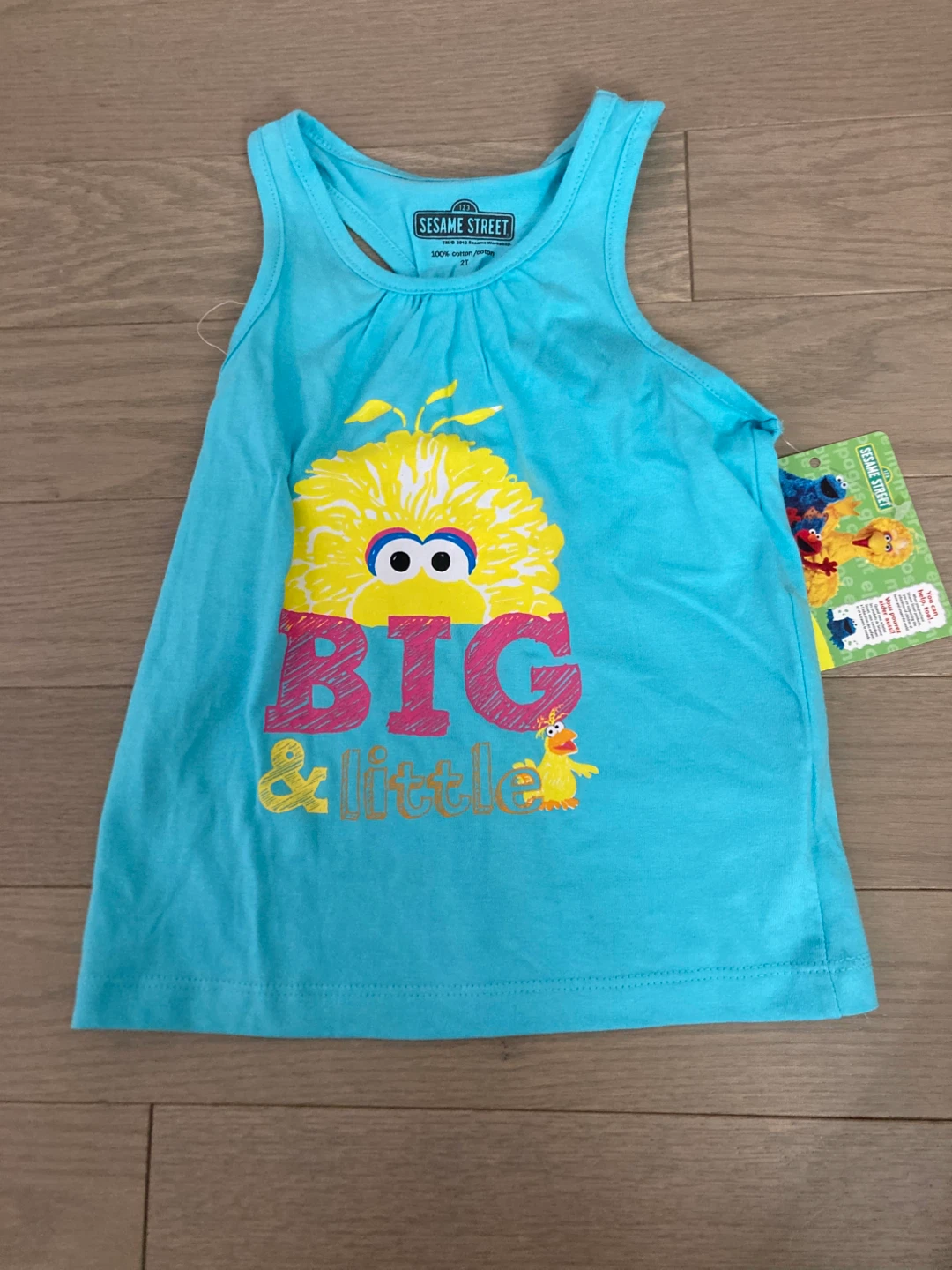 ⚽️Sesame Street Big & Little Tank Top - Size 2T