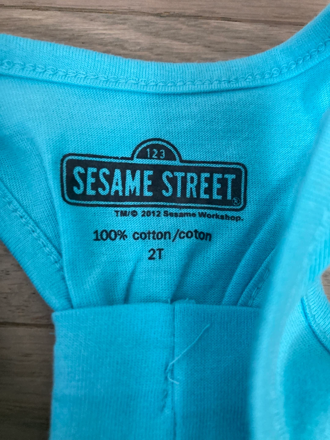 ⚽️Sesame Street Big & Little Tank Top - Size 2T - photo 2