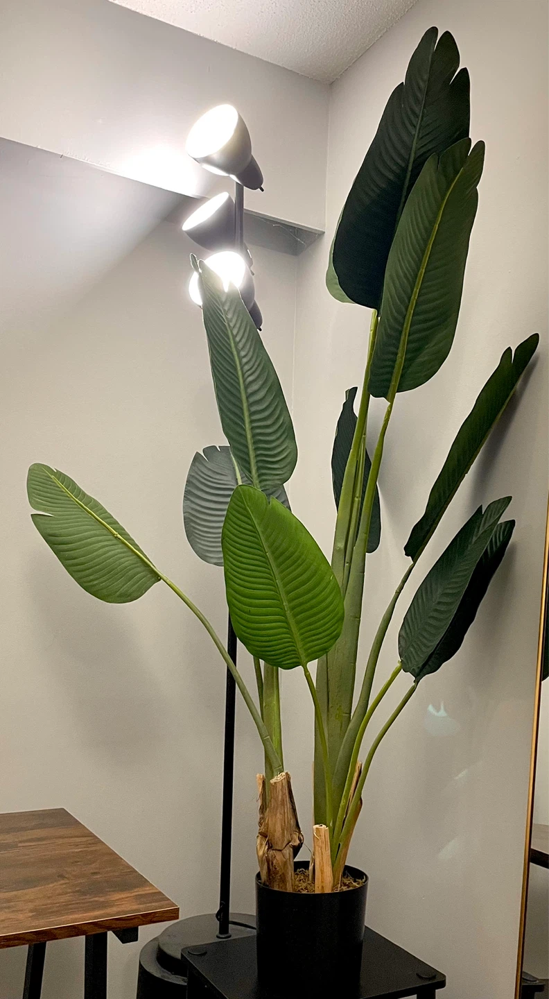 Large Artificial Bird of Paradise Plant