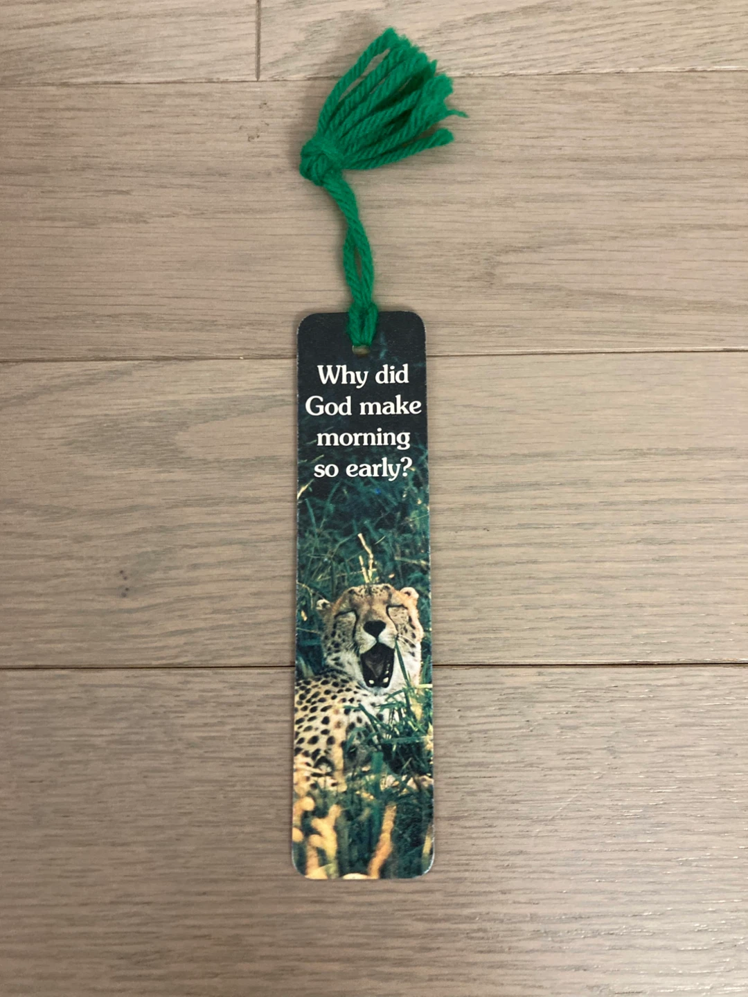 ⚽️Sunshine Thoughts Bookmark with Cheetah Image