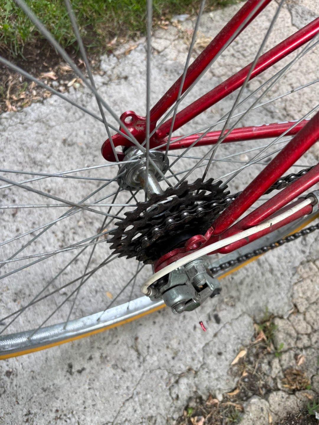 Vintage Velo Sport Red Bike - photo 4