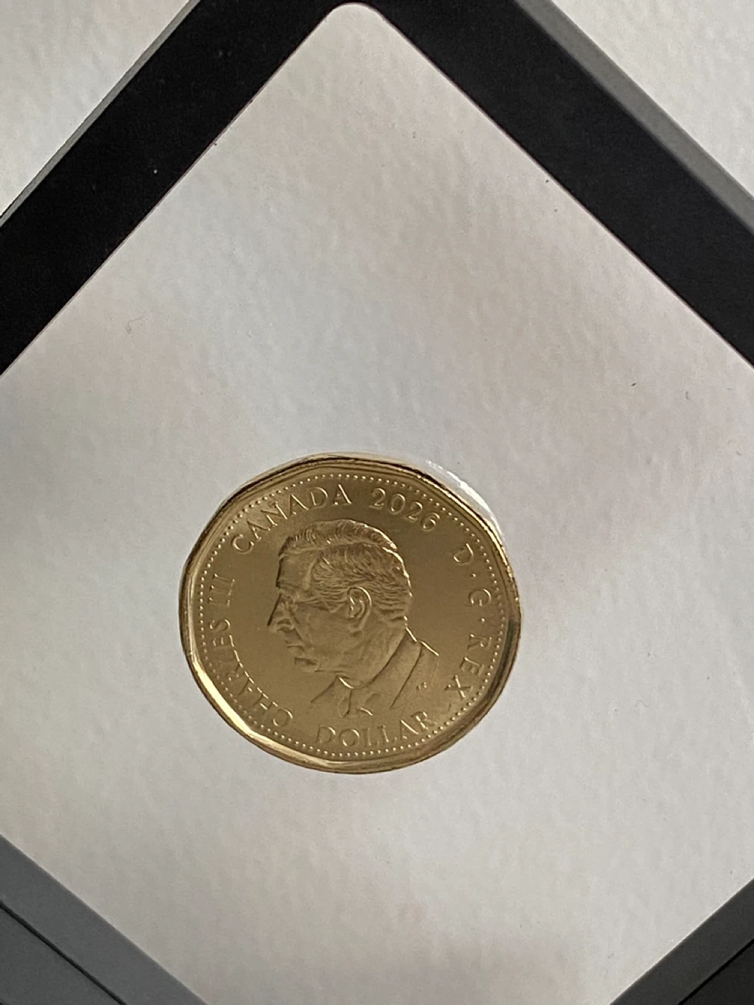 FIFA $1 Loonie in a display case - photo 4