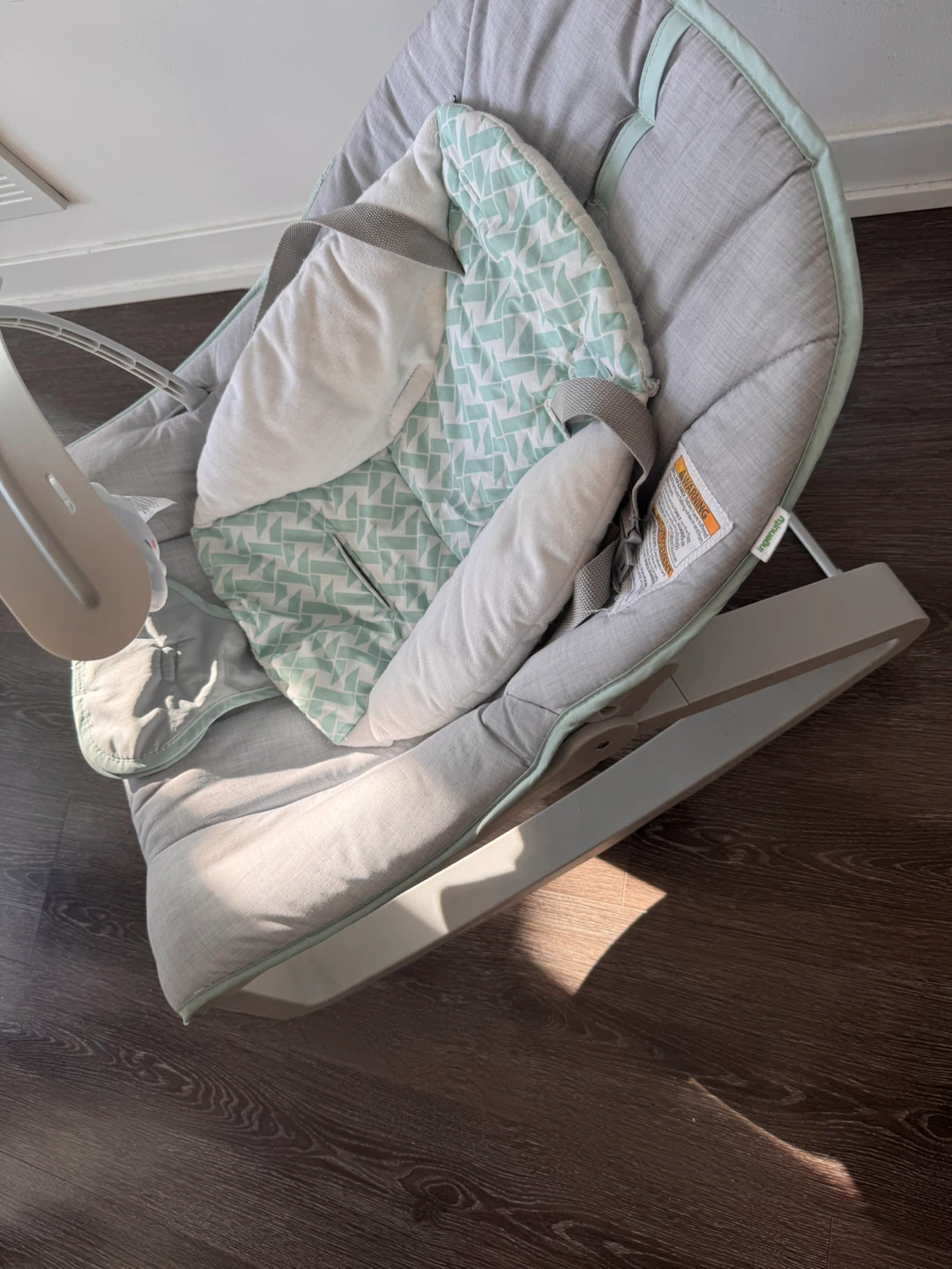 Ingenuity Baby Rocker - photo 2
