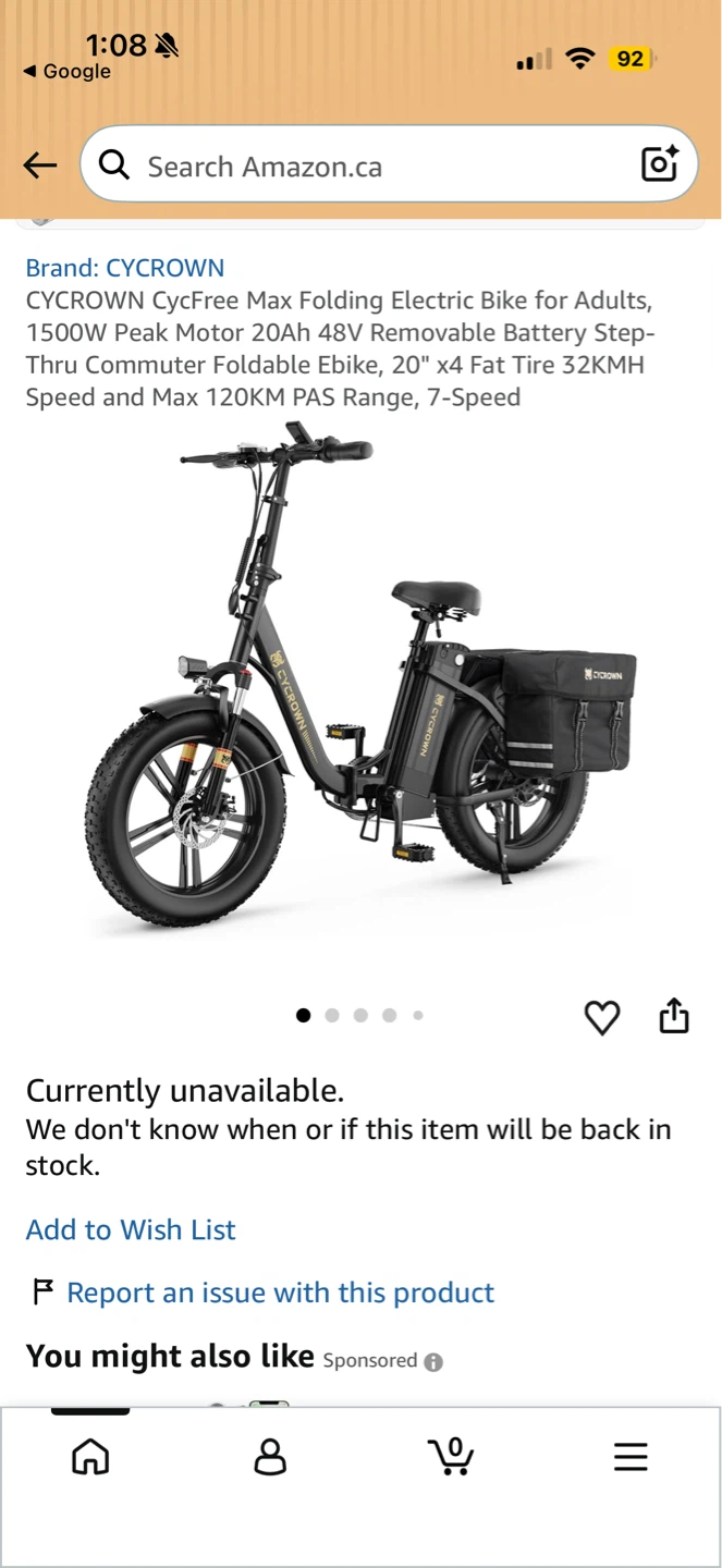 Electric bike