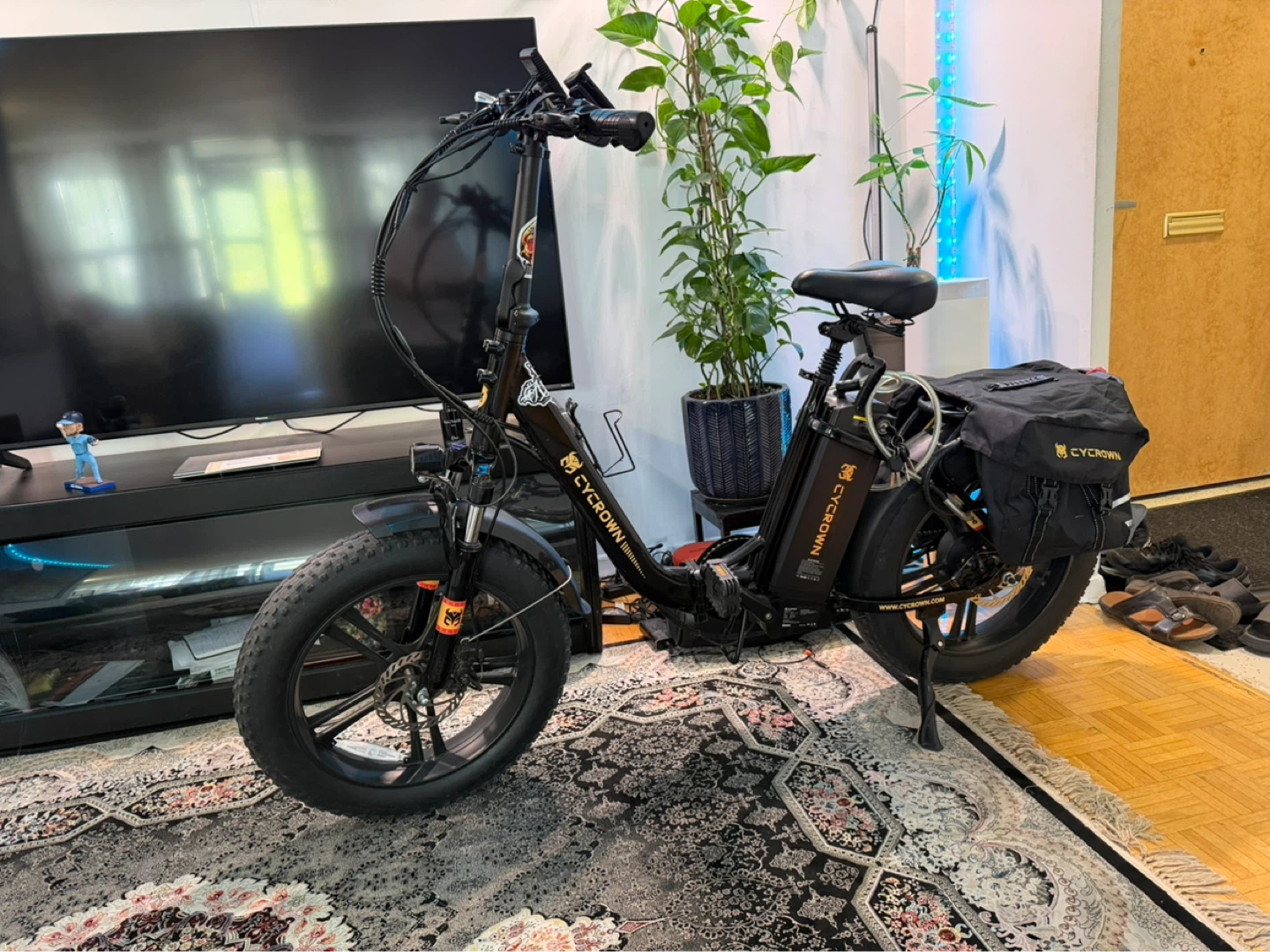 Electric bike - photo 4