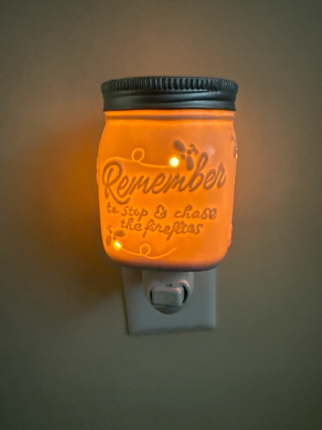 wax melter - photo 3