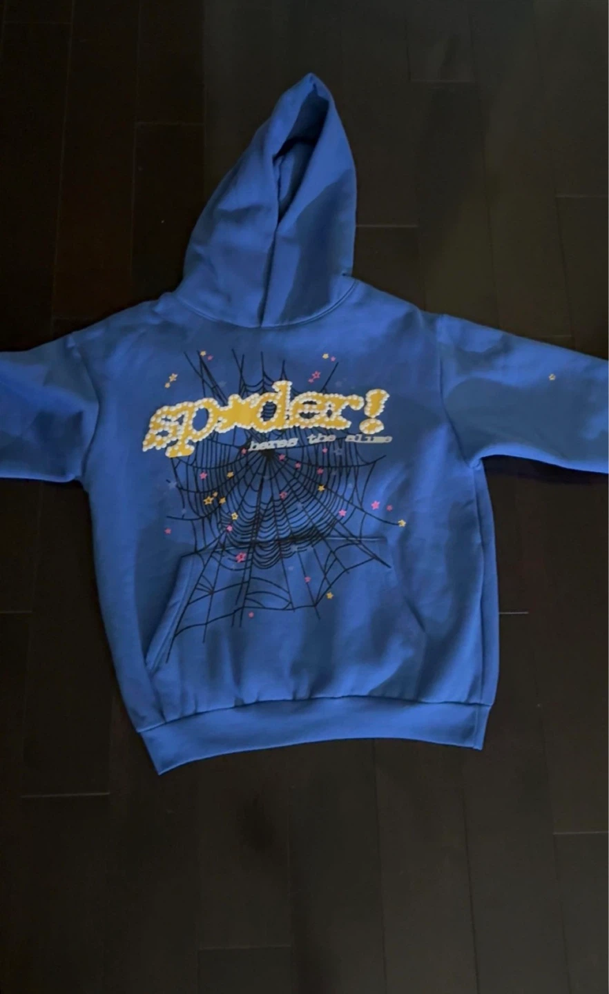 SPIDER Worldwide Blue Hoodie