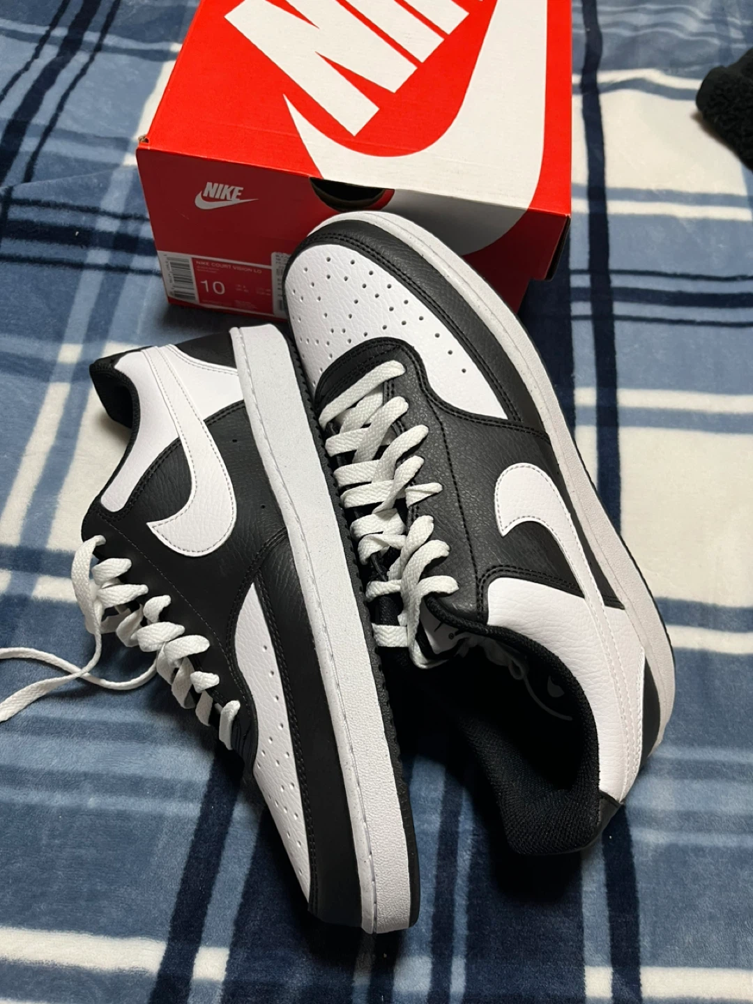 Nike Court Vision Low Men's Shoes