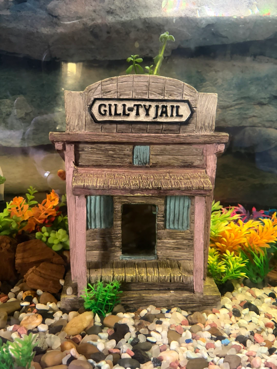 Aquarium set up - Wild West Theme - photo 2