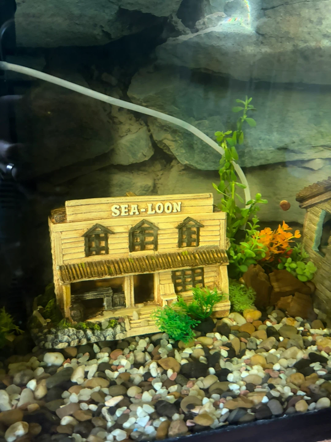 Aquarium set up - Wild West Theme - photo 4