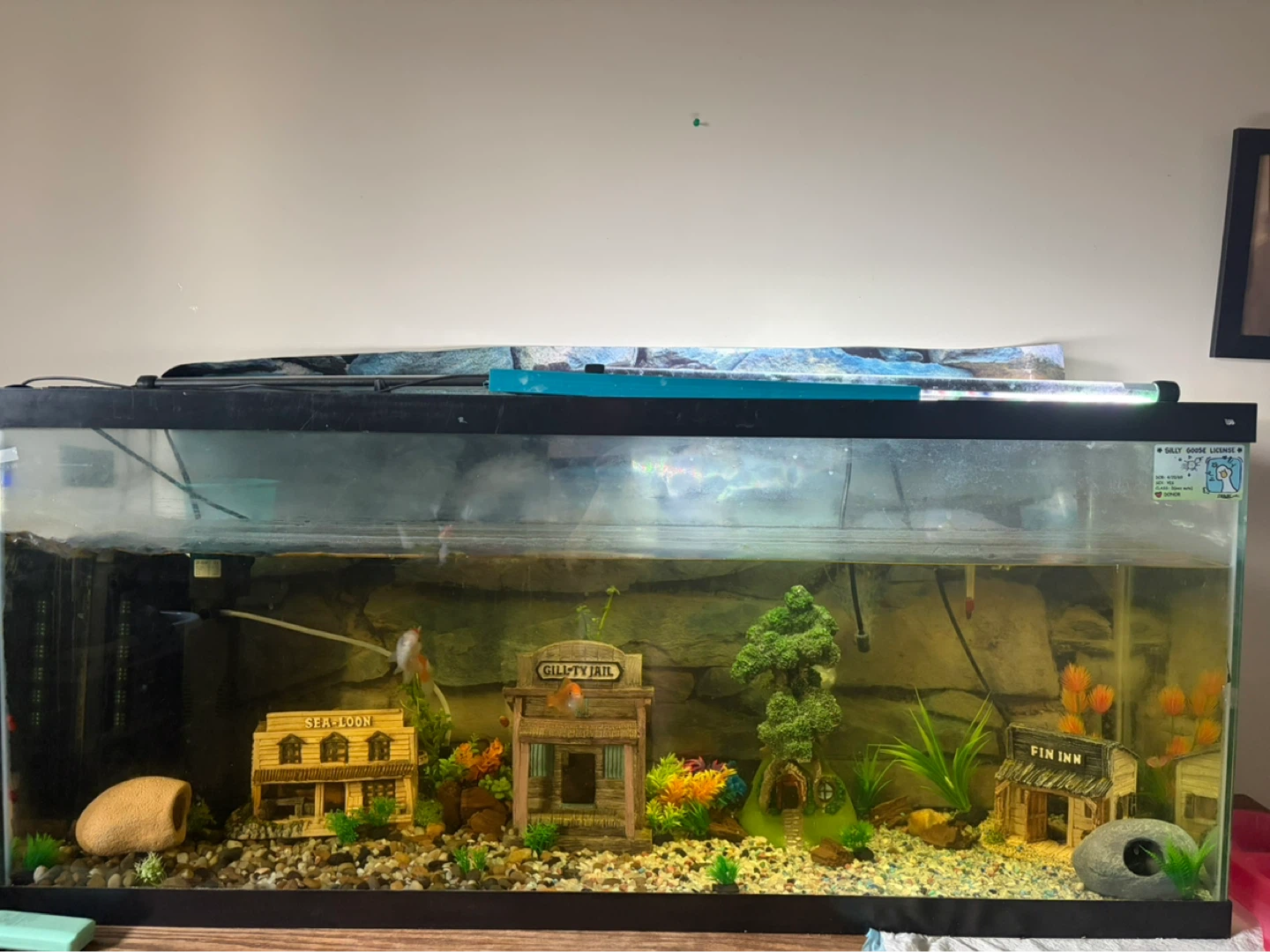Aquarium set up - Wild West Theme