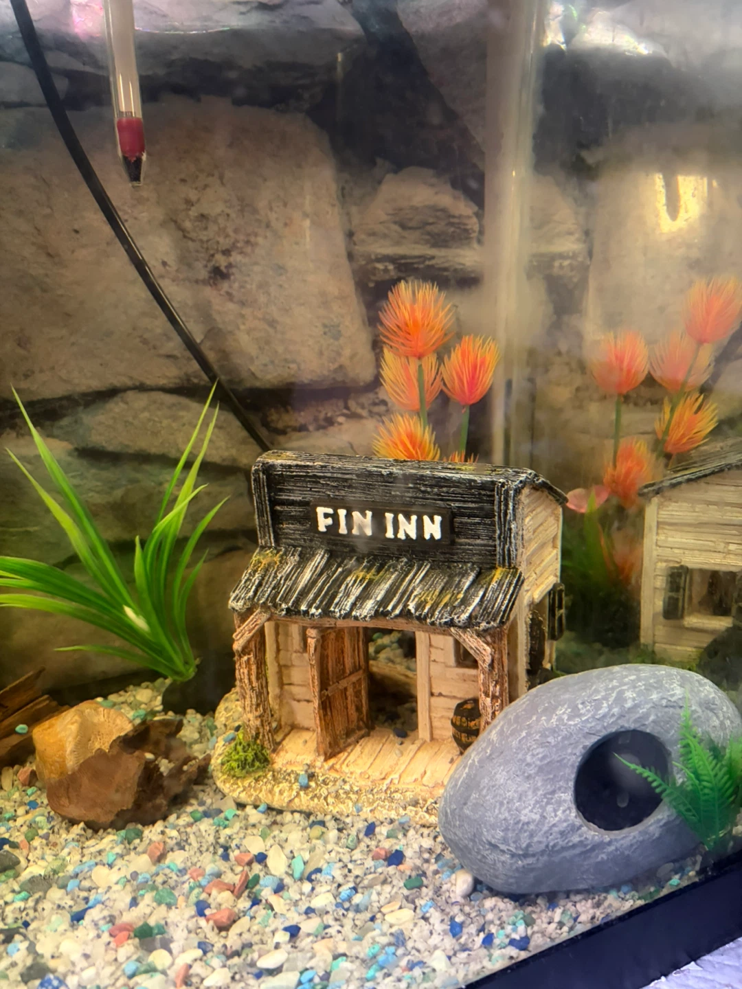 Aquarium set up - Wild West Theme - photo 3