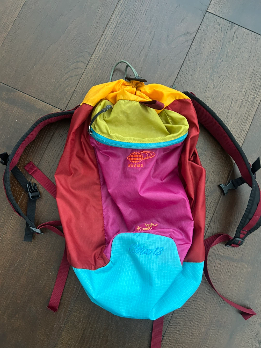 BEAMS x Arc'teryx Collab Backpack