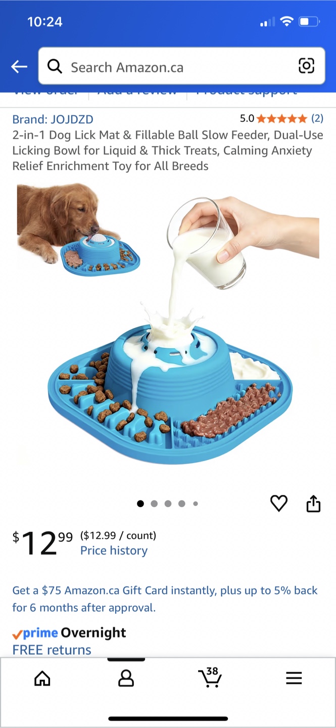 JOJDZD 2-in-1 Dog Lick Mat & Slow Feeder