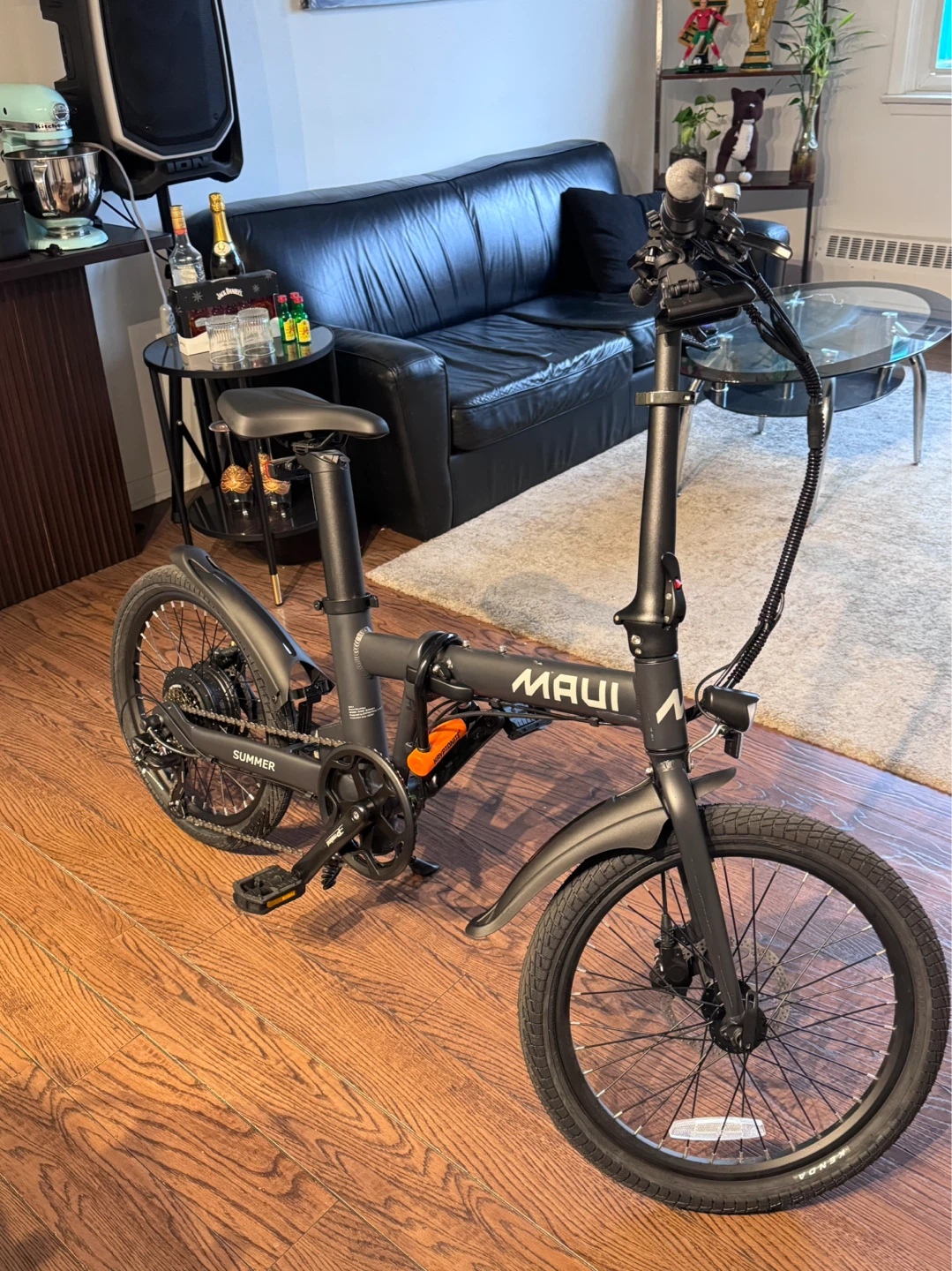 Maui Summer Electric Folding Bike – Like New