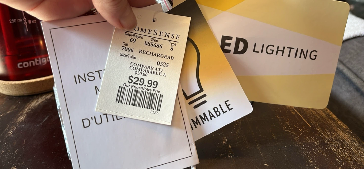 HOMESENSE Rechargeable LED Table Lamp - photo 3