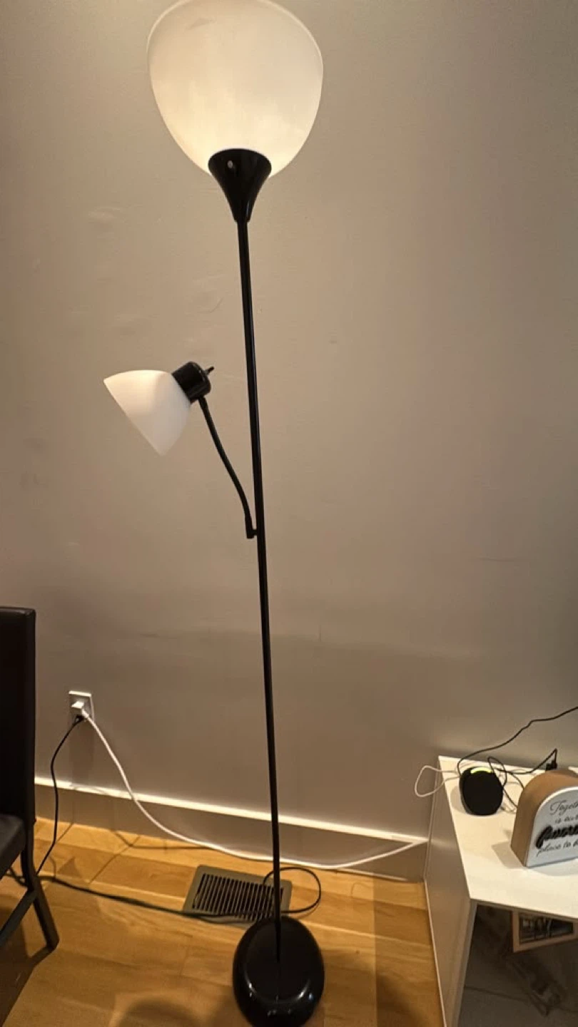 Black Floor Lamp with Adjustable Reading Light