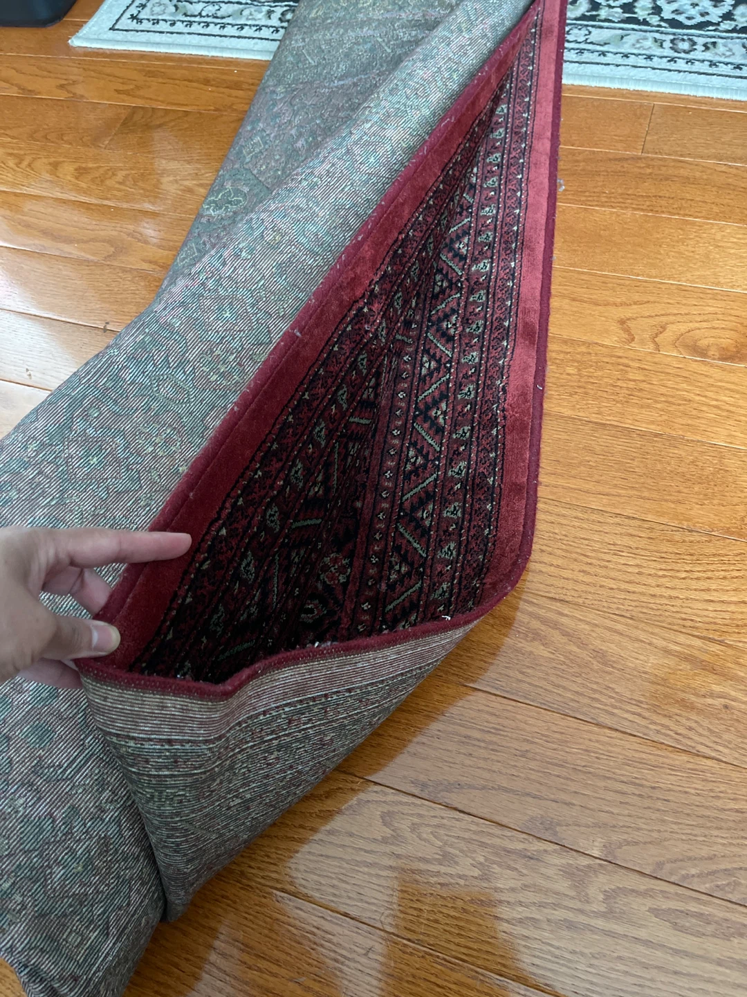 Persian Style Area Rug - photo 2