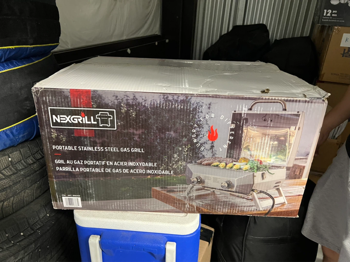 Nexgrill Portable Stainless Steel Gas Grill