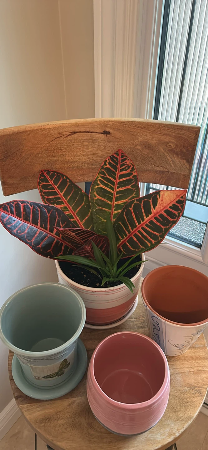 REPURPOSED BARSTOOL WITH PLANT & POTS (READ LISTING) - photo 3