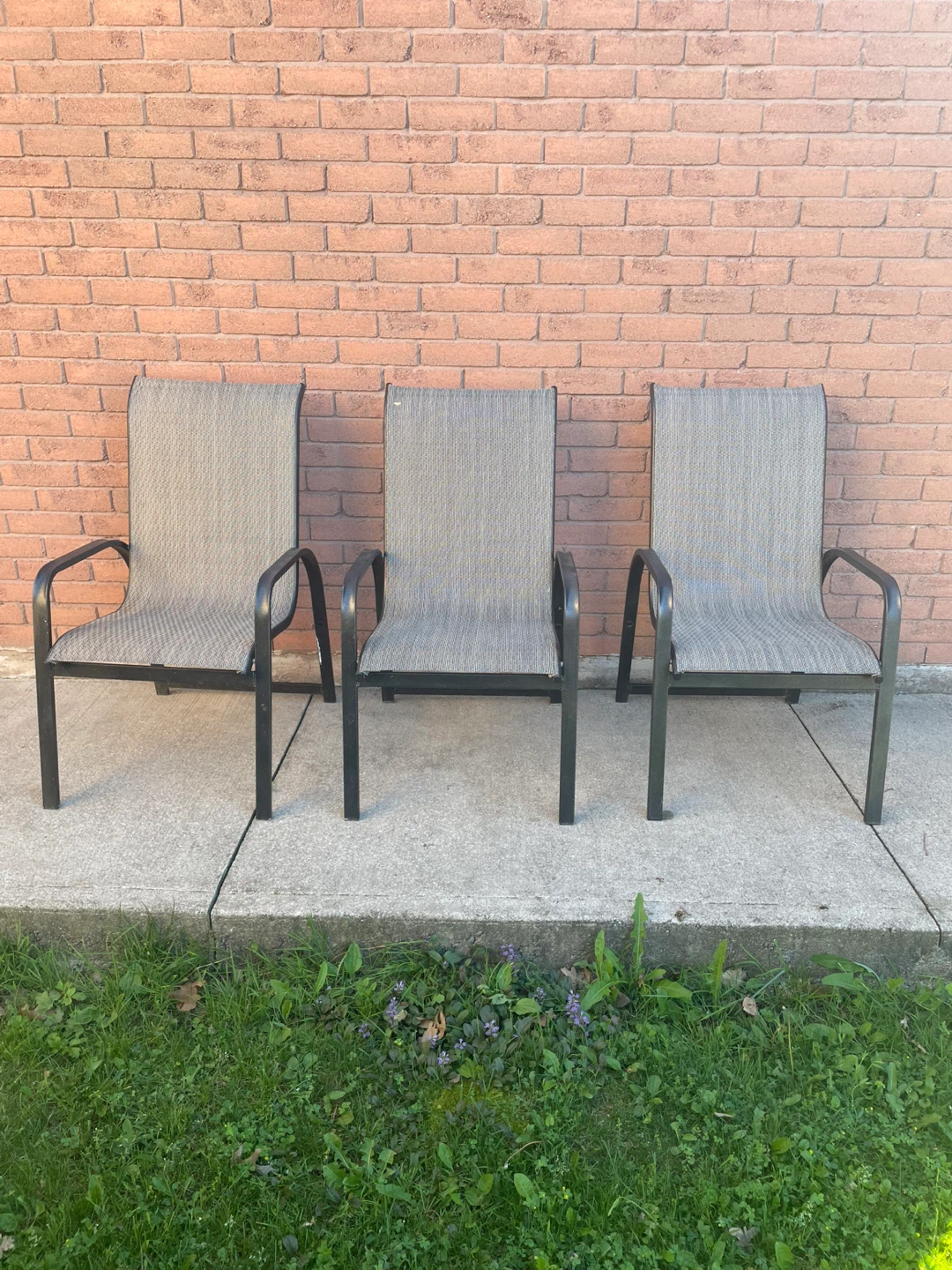 Patio Chairs