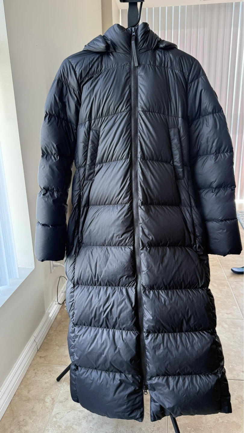 Canada goose - photo 3