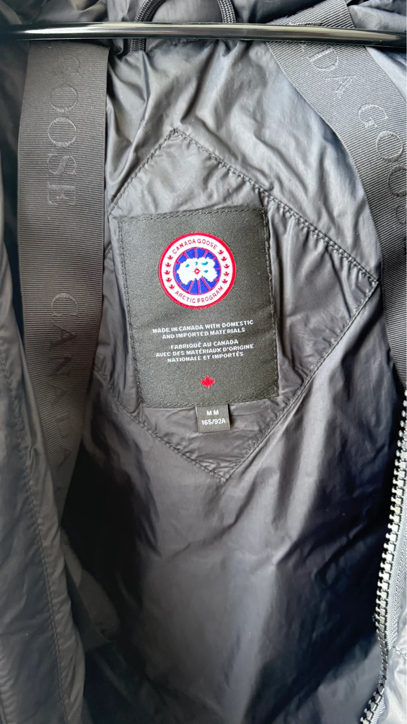 Canada goose - photo 2