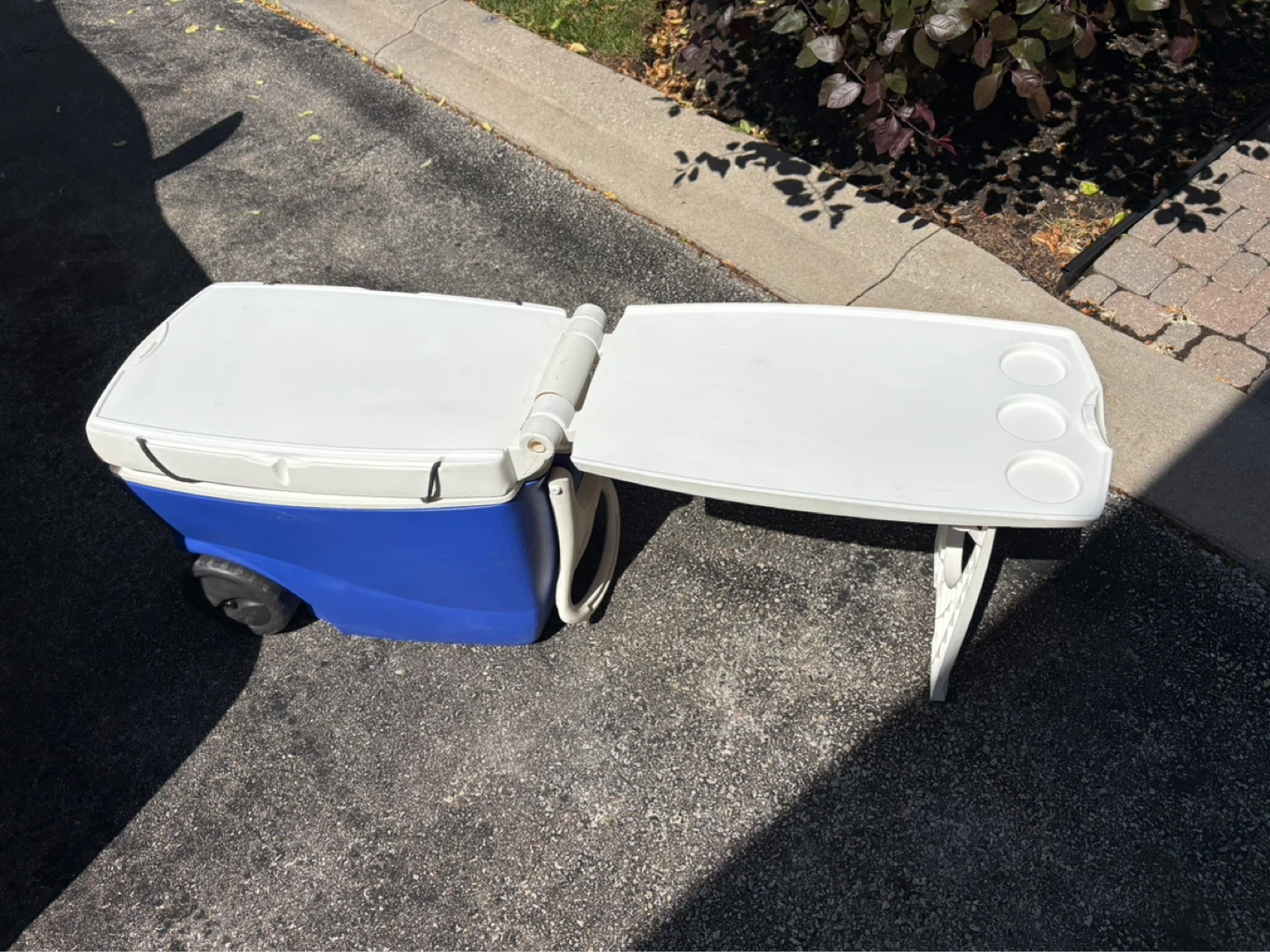 Thermos Cooler with table - photo 4