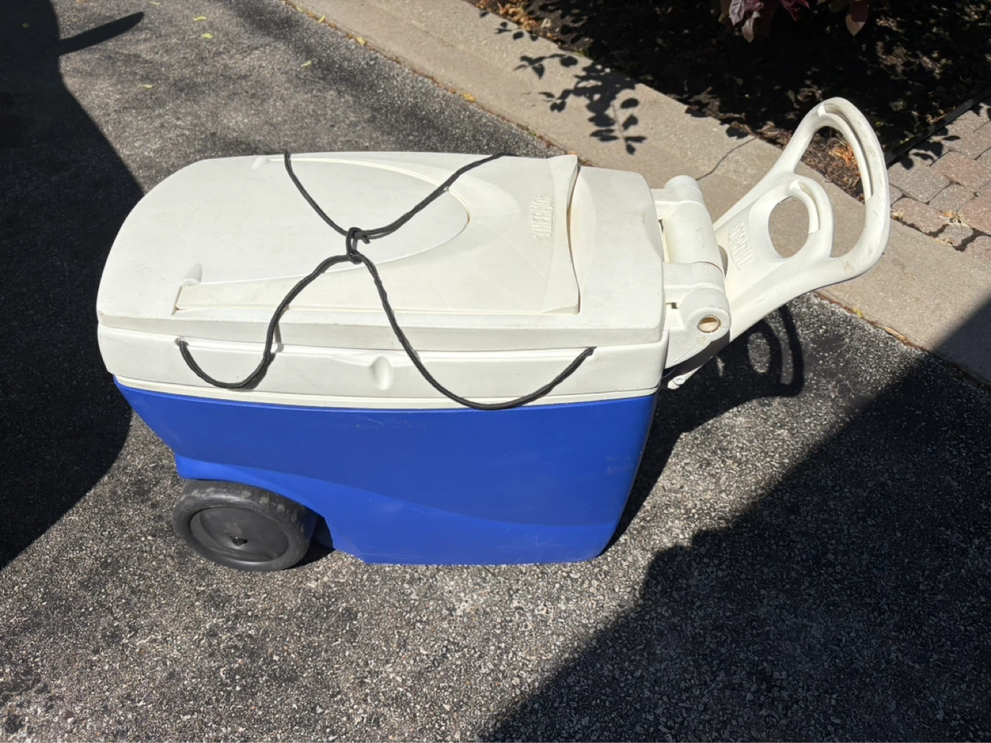Thermos Cooler with table - photo 2